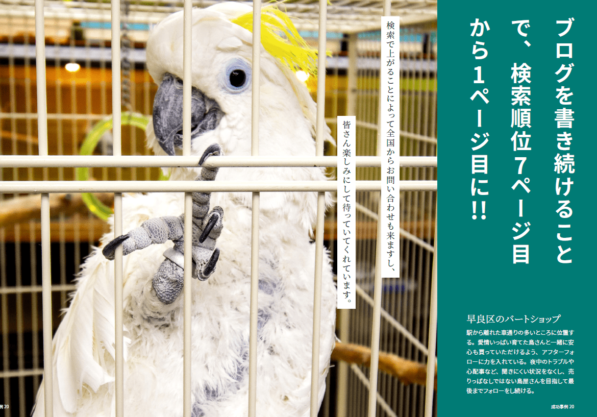 成功事例ペットショップ・バードショップイメージ