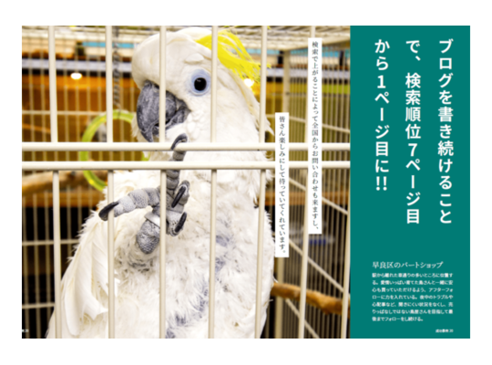 ホームページ制作
