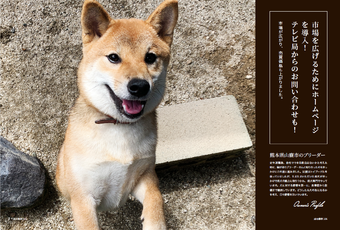ブリーダーイメージ