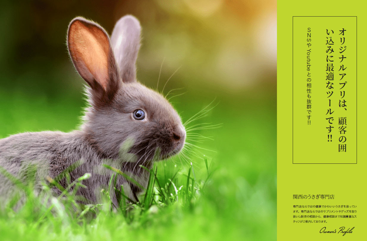 ペットショップイメージ