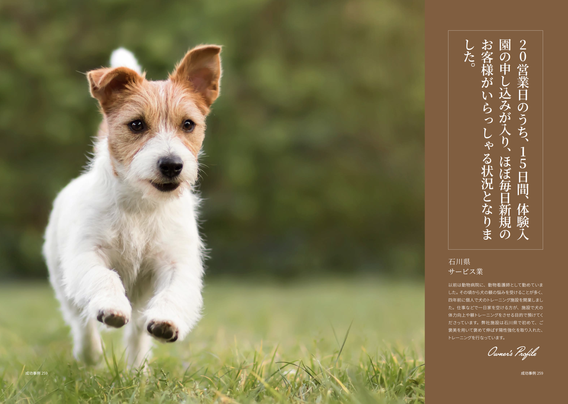 ドッグスクール_イメージ