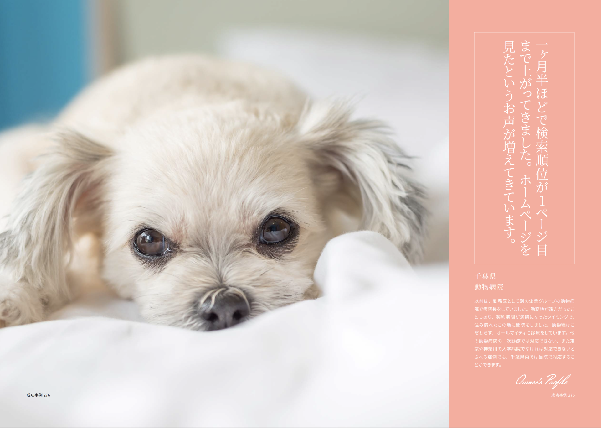 動物病院_イメージ
