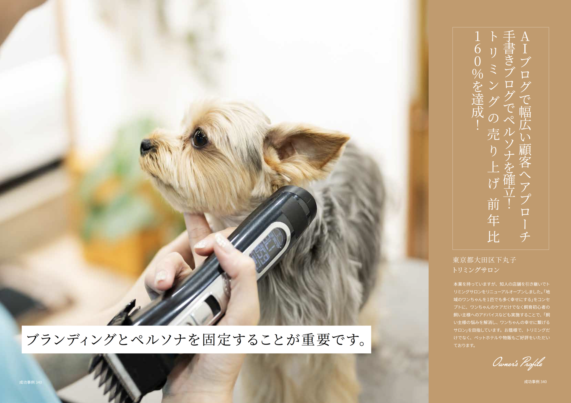 東京都大田区トリミングサロン